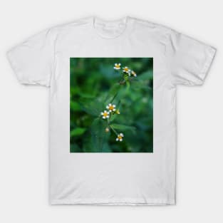 Cute wild daisies T-Shirt